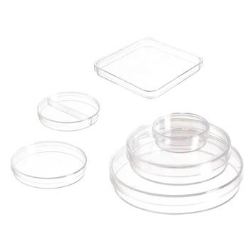 Covered Petri Dish