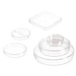 Covered Petri Dish