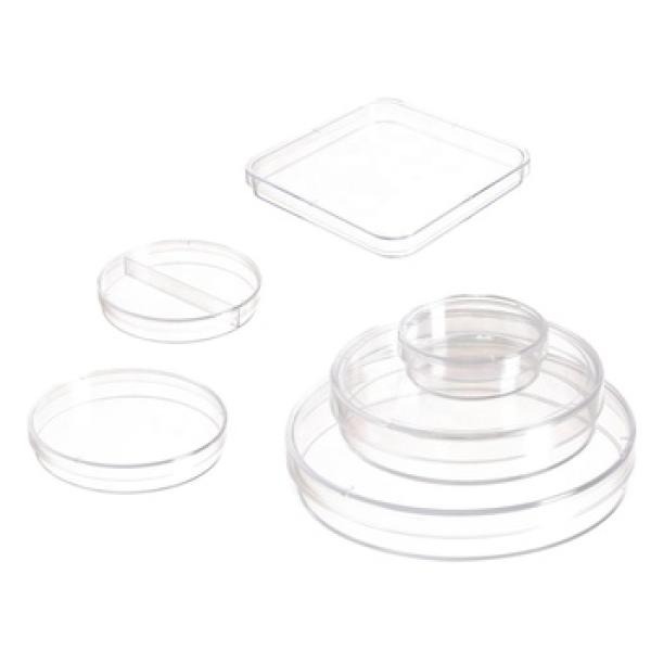 Covered Petri Dish