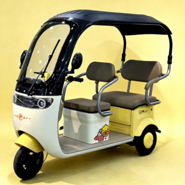 Electric Vehicle