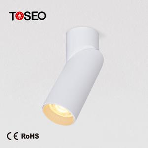 Surface Light Source