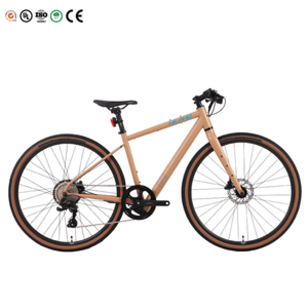Electric City Leisure Bikes