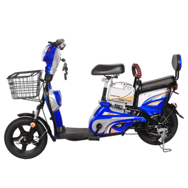 Multi-Purpose Bikes