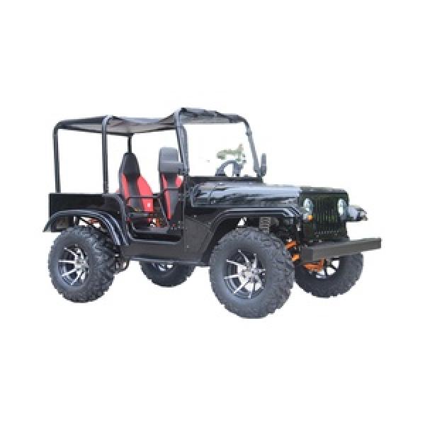 ATV / All Terrain Vehicle