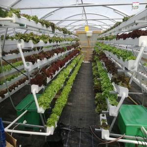 Irrigation & Hydroponic Equipment