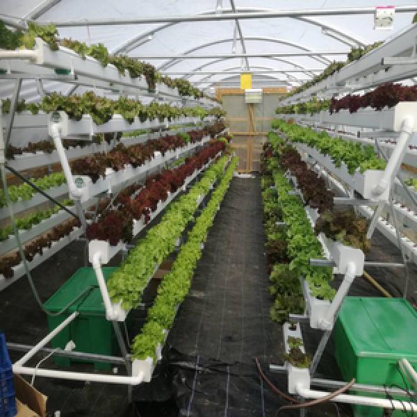 Irrigation & Hydroponic Equipment