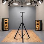 Projector Mount