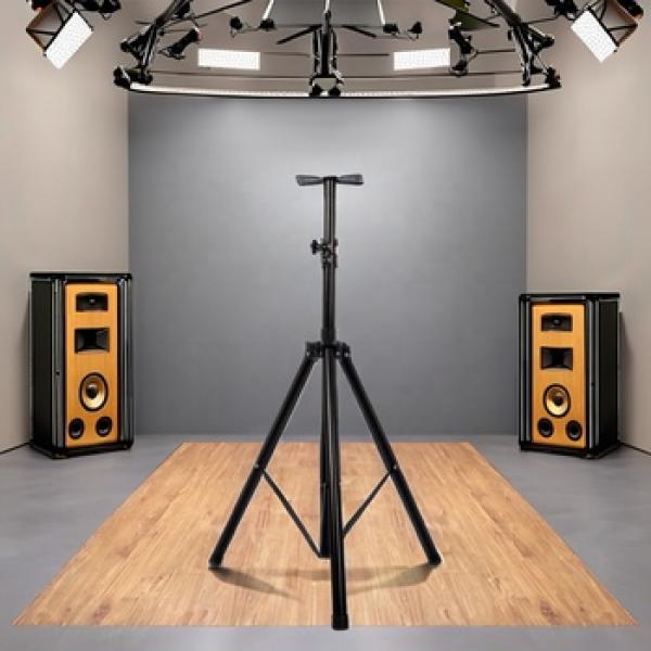 Projector Mount