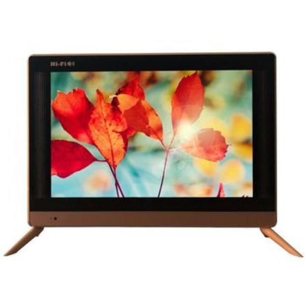 Portable TV