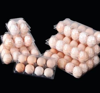Egg