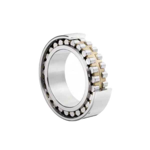 Bearing Roller