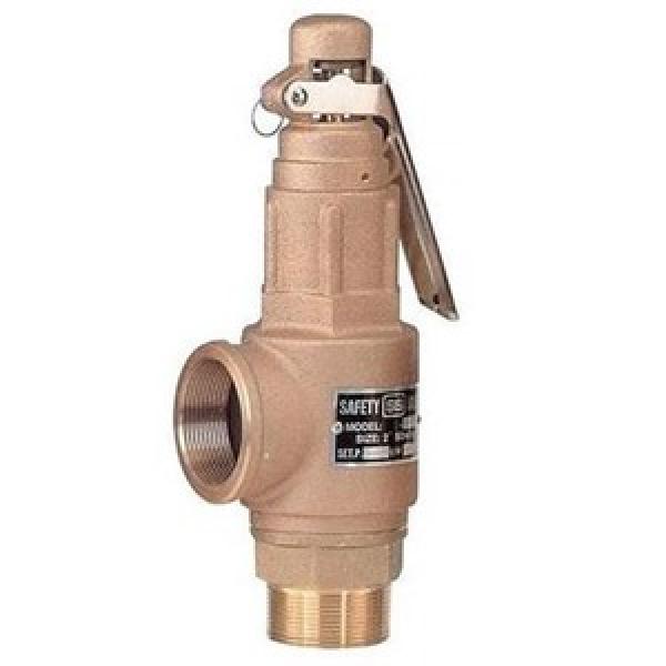 Safety Valve