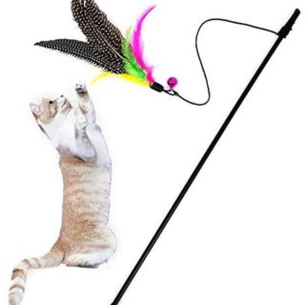 Feather
