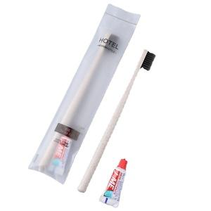 Travel Toothbrush