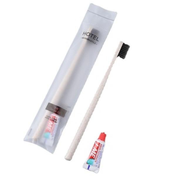 Travel Toothbrush