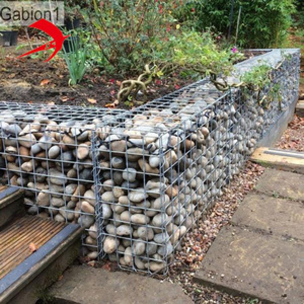 Wire Basket