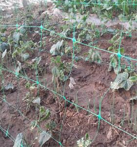 Garden Netting