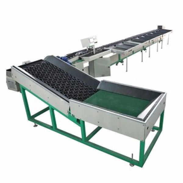 Other Fruit & Vegetable Processing Machinery
