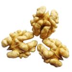 Pine Nut Kernel