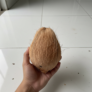 Fresh Melon