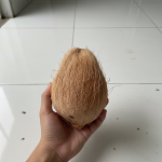 Fresh Melon