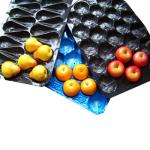 Other Agricultural Products